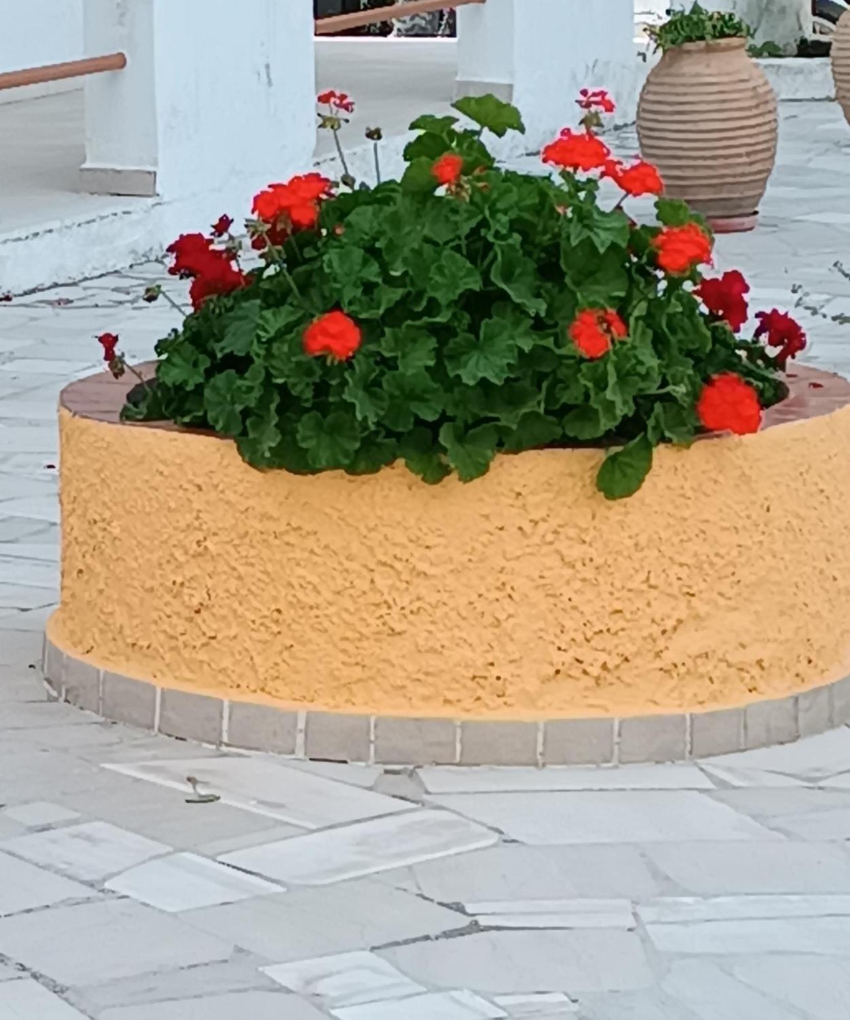 Sofia Beach Apartments Kávos Екстериор снимка